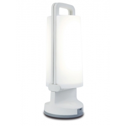 DRAGONFLY 6904101331