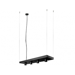 PLANT BLACK zwis 9381  NOWODVORSKI