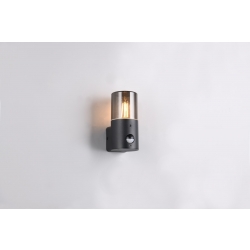 HOOSIC - CZUJNIK RUCHU 222260132