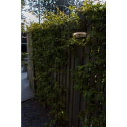 VYZOR SOLAR  6915701335