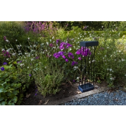 SPIDO SOLAR 6915901012