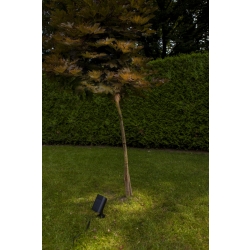 BINGO SOLAR  6938401330