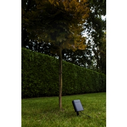 BINGO SOLAR  6938401330