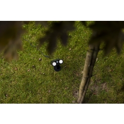 BINGO SOLAR  6938401330