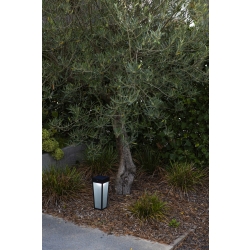 DIAS SOLAR 6996601012