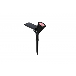 FESTIVAL SOLAR R84756232